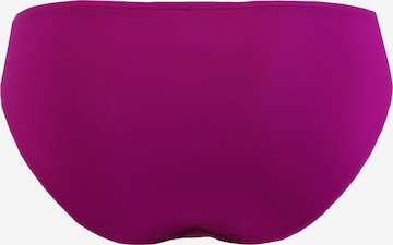 Regular Bikini s.Oliver en violet