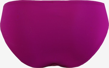 s.Oliver Normalny krój Bikini w kolorze fioletowy
