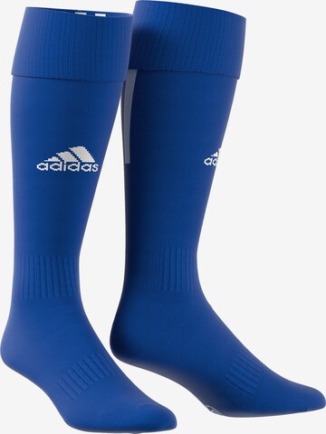 ADIDAS SPORTSWEAR Soccer Socks 'Santos 18' in Blue