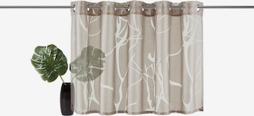 MY HOME Curtains & Drapes in Beige: front