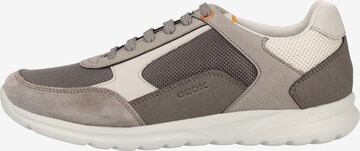 GEOX Sneaker 'Erast' in Grau