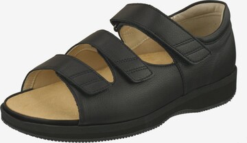 Natural Feet Sandals 'Casablanca XL' in Black: front