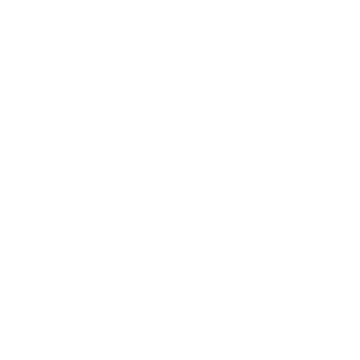 DIESEL Logo