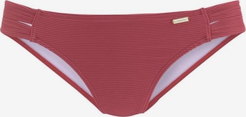 SUNSEEKER Bikini Bottoms in Red: front