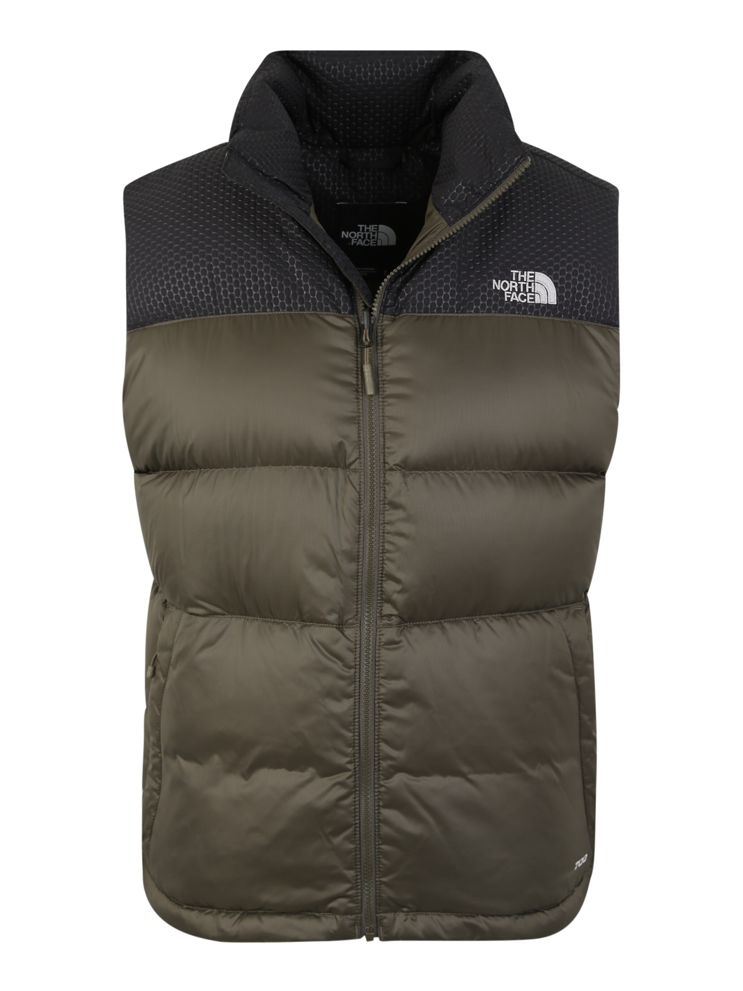 vesta the north face