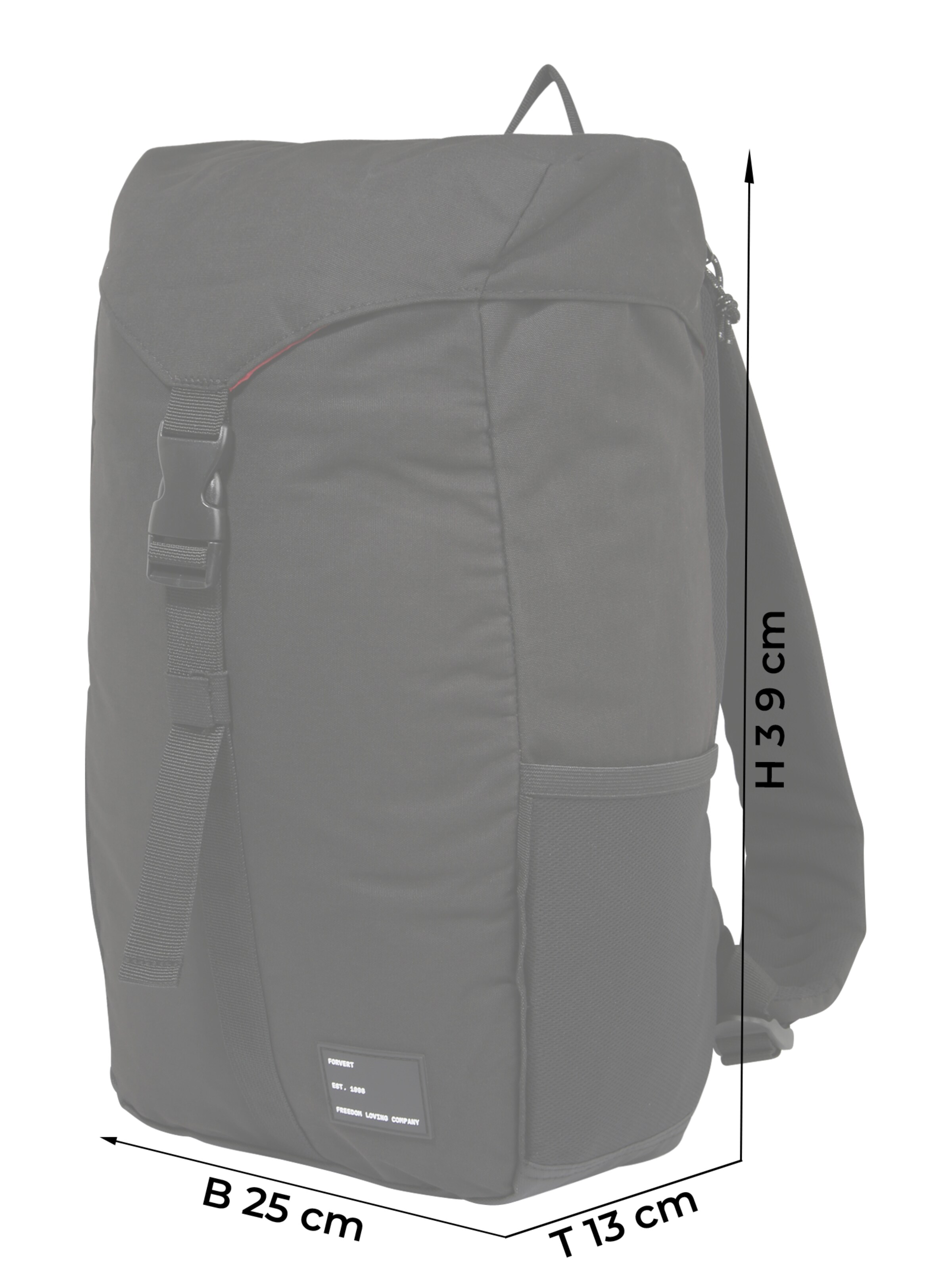 Forvert Backpack 'Dale' in Black