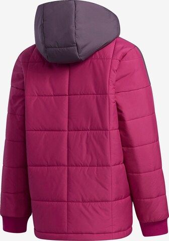 ADIDAS PERFORMANCE Outdoor jacket in Purple