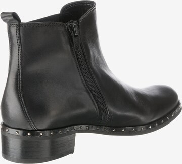 GABOR Chelsea Boots in Schwarz