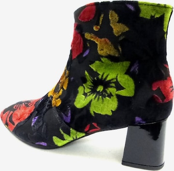 GABOR Ankle Boots in Mixed colors