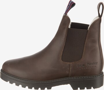 Blue Heeler Chelsea Boots 'Jackaroo' in Brown