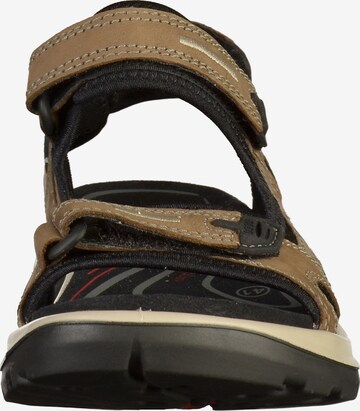 Sandales de randonnée 'Offroad' ECCO en marron