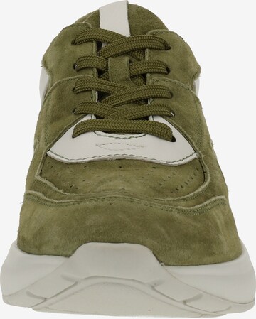 CAPRICE Sneakers in Green