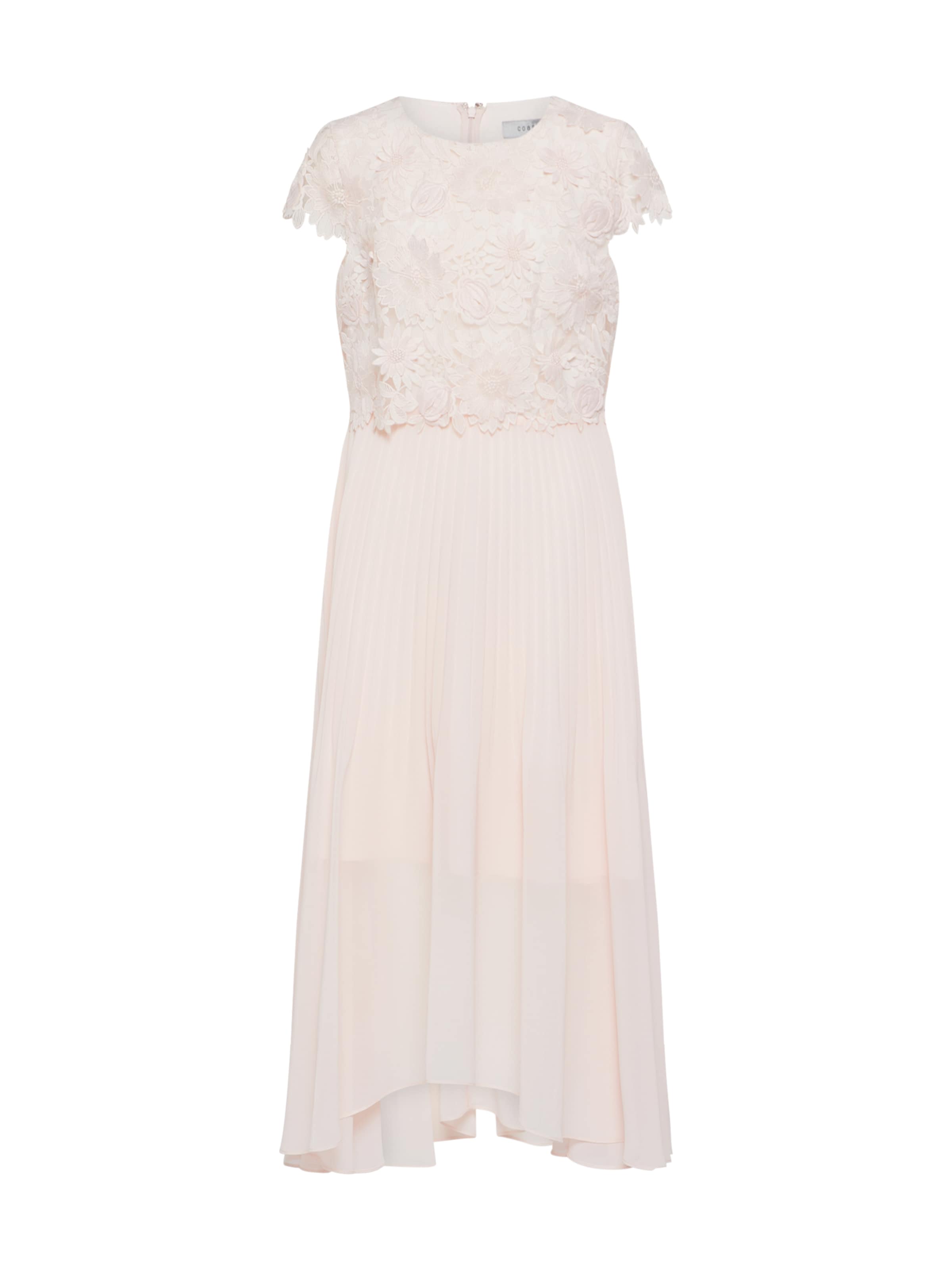 coast darianna dress