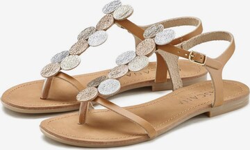 LASCANA T-bar sandals in Brown