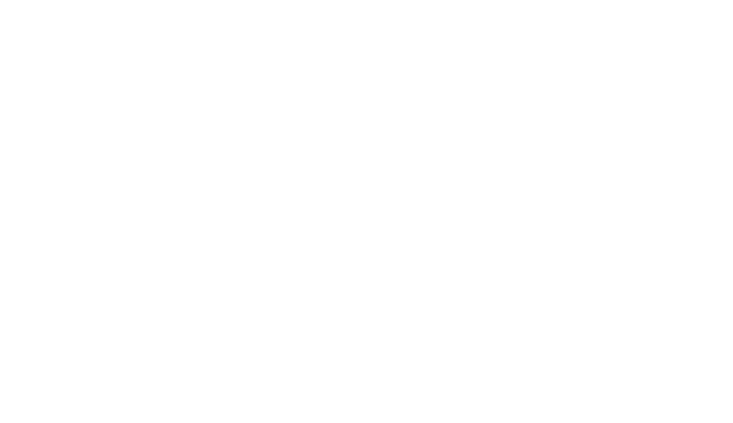 havaianas Logo