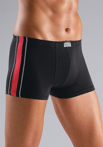 LE JOGGER Boxer shorts in Grey: front