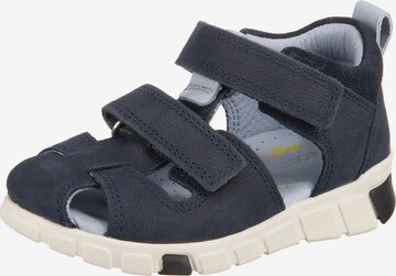 ECCO Sandals & Slippers in Blue