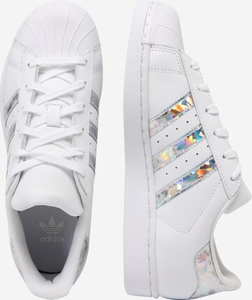 Baskets 'Superstar' ADIDAS ORIGINALS en blanc : sur le côté