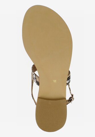 EVITA T-Bar Sandals 'OLIMPIA' in Brown