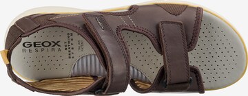 Sandales GEOX en marron