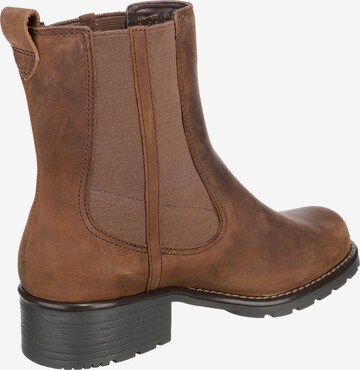 CLARKS Boot 'Orinoco Club' in Braun