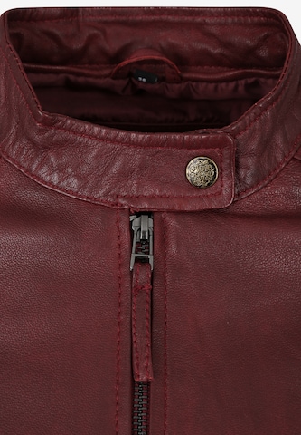 Apple of Eden Between-Season Jacket 'CREAM' in Red