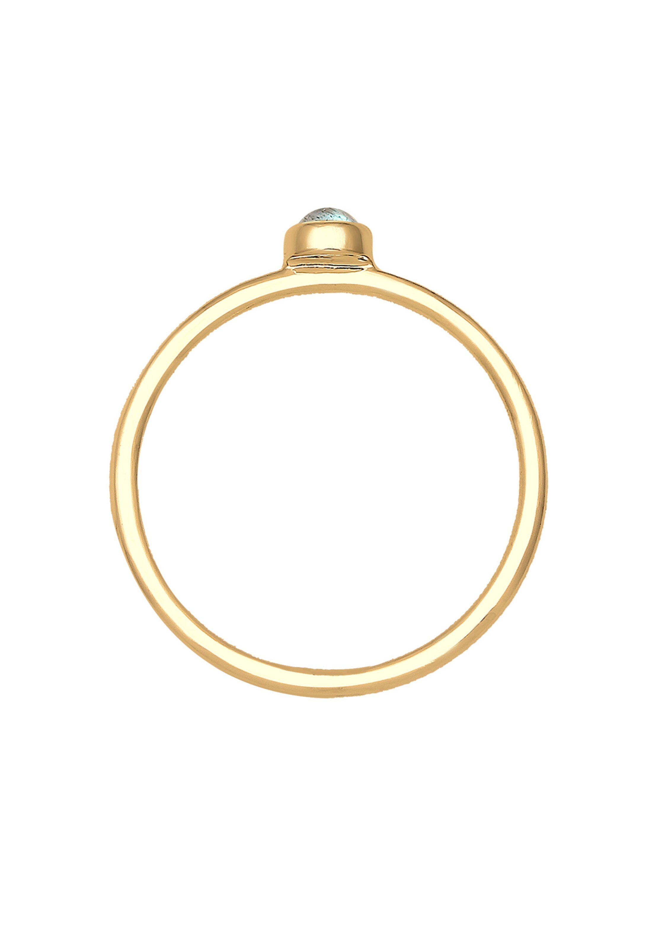 ELLI Ring 'Bandring' in Gold