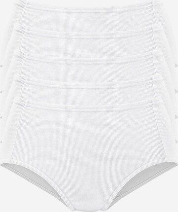 PETITE FLEUR Panty in White: front