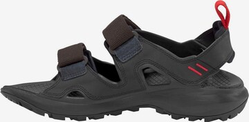 THE NORTH FACE Sandals 'Hedgehog' in Black