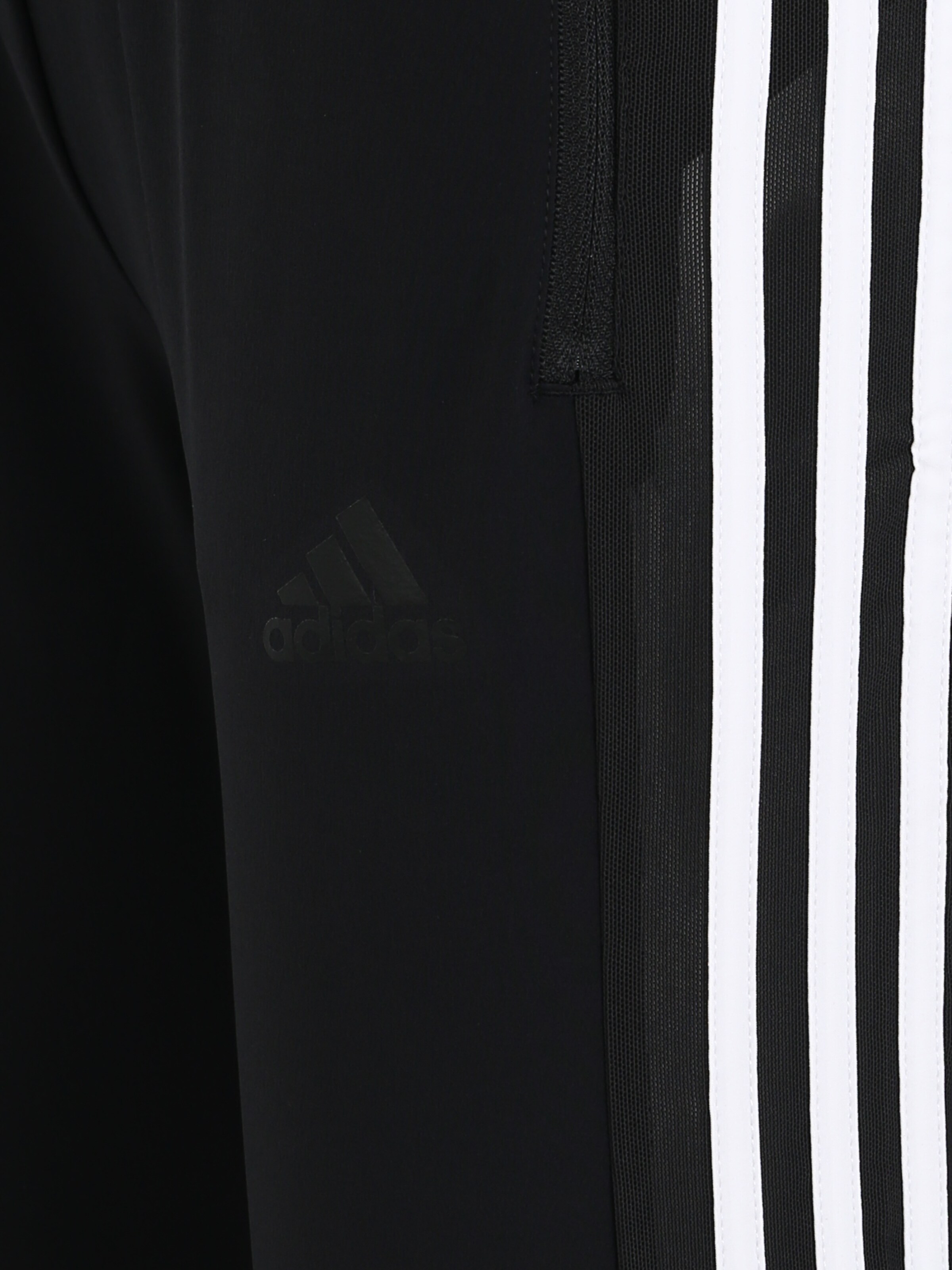 Effilé Pantalon de sport ADIDAS SPORTSWEAR en noir