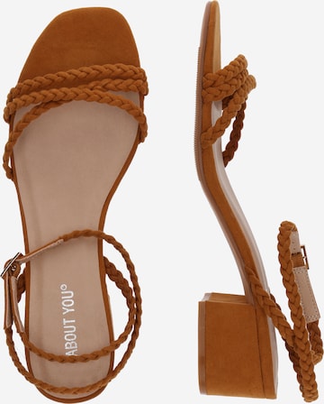 ABOUT YOU Sandalen met riem 'Madita' in Bruin