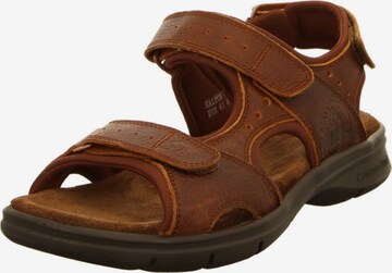 PANAMA JACK Sandals in Brown: front