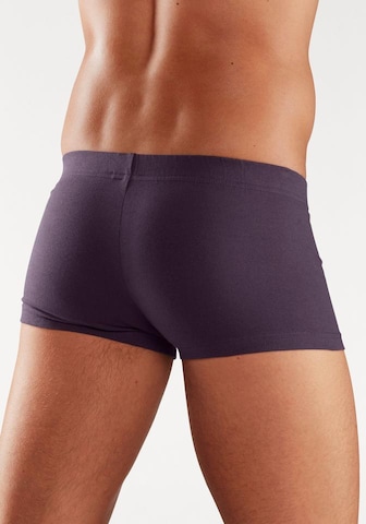 H.I.S - Calzoncillo boxer en Mezcla de colores