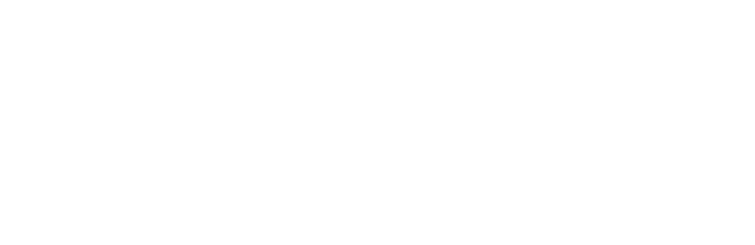 Zizzi Logo