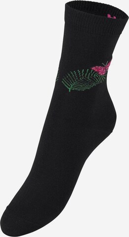 Chaussettes H.I.S en noir