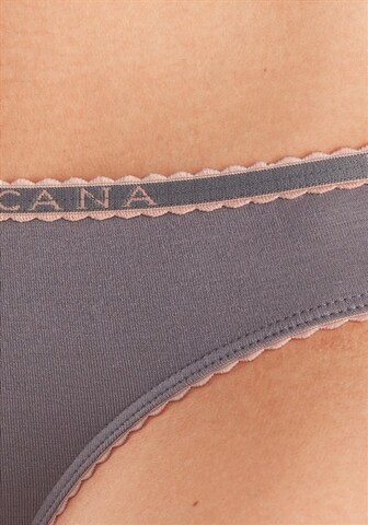 Slip LASCANA en gris