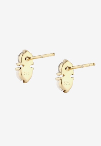 ELLI PREMIUM Earrings in Gold