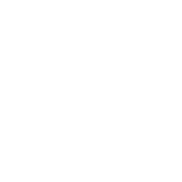 Leslii Logo