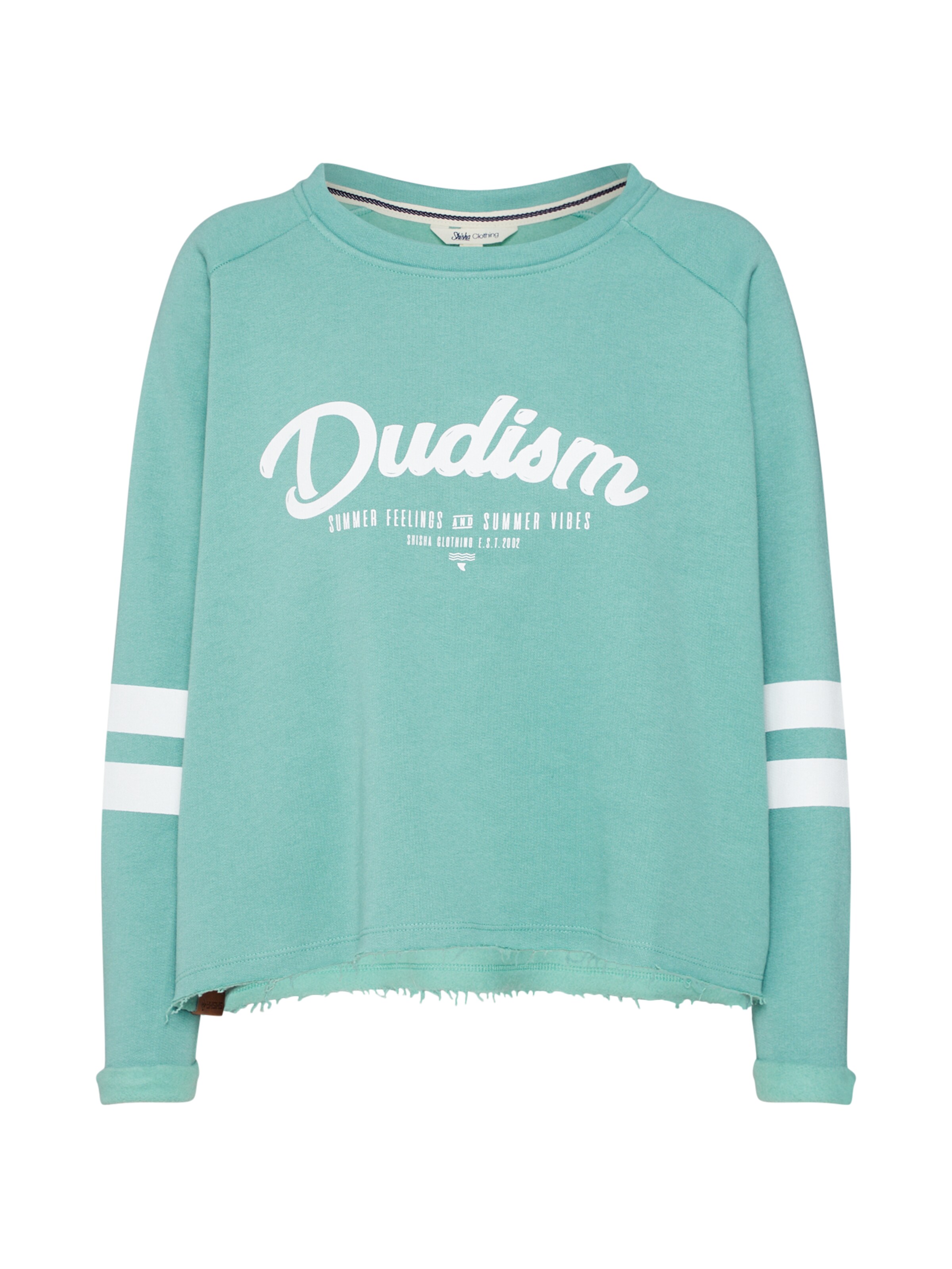 SHISHA - Sweatshirt in grün