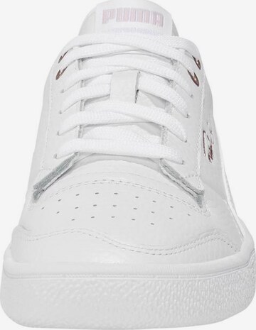 Baskets basses 'Ralph Sampson' PUMA en blanc