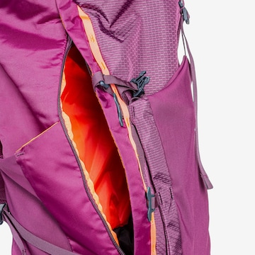 SALEWA Sportrugzak 'Alptrek 50 BP WS' in Lila