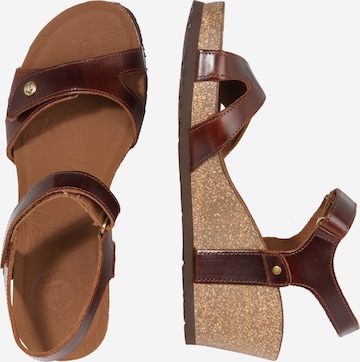 PANAMA JACK Sandalen met riem 'Julia Clay' in Bruin