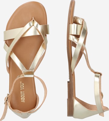 ABOUT YOU T-Bar Sandals 'Jody' in Gold