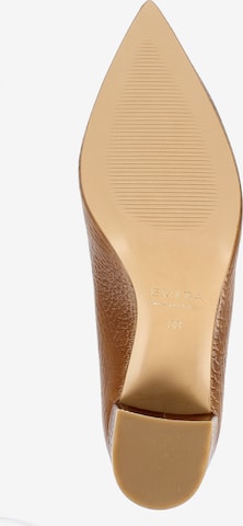 EVITA Pumps in Bruin