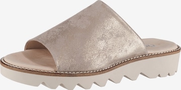 GABOR Mules in Beige: front