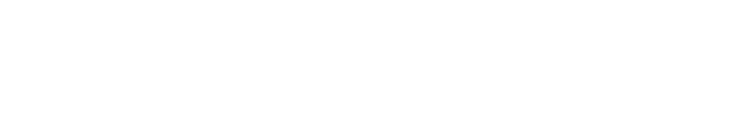 CAMP DAVID Logo
