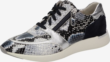 SIOUX Sneakers 'Malosika' in Mixed colors: front