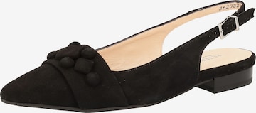 PETER KAISER Ballet Flats with Strap in Black: front