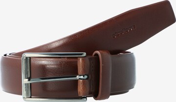 Ceinture STRELLSON en marron : devant