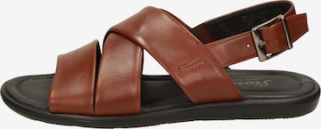 SIOUX Sandals 'Mirtas' in Brown